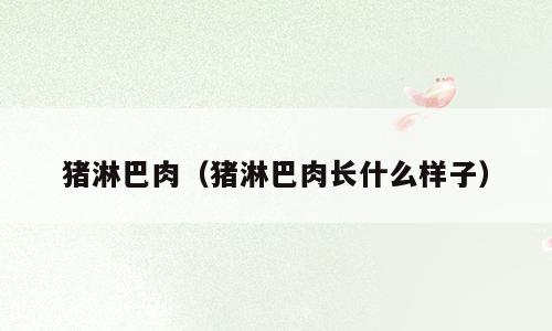 猪淋巴肉（猪淋巴肉长什么样子）
