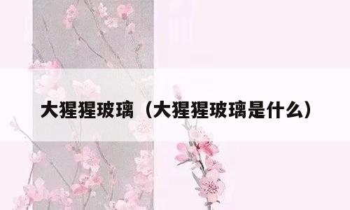 大猩猩玻璃（大猩猩玻璃是什么）