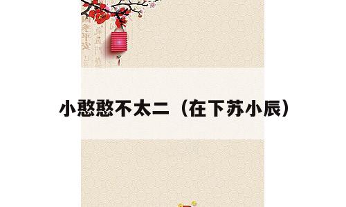 小憨憨不太二（在下苏小辰）