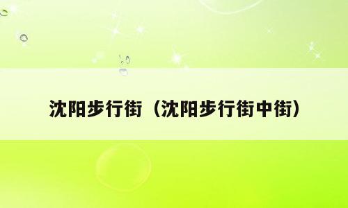 沈阳步行街（沈阳步行街中街）