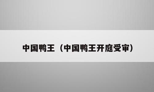 中国鸭王（中国鸭王开庭受审）