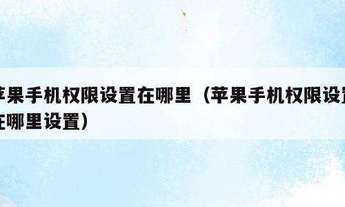 苹果手机权限设置在哪里（苹果手机权限设置在哪里设置）
