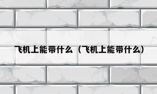 飞机上能带什么（飞机上能带什么）