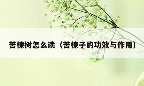苦楝树怎么读（苦楝子的功效与作用）