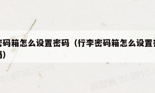 密码箱怎么设置密码（行李密码箱怎么设置密码）