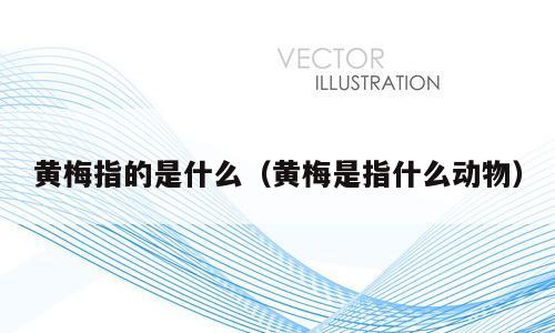 黄梅指的是什么（黄梅是指什么动物）