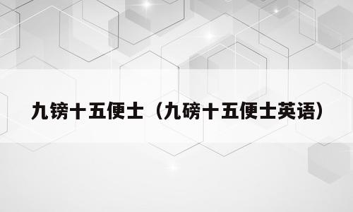 九镑十五便士（九磅十五便士英语）