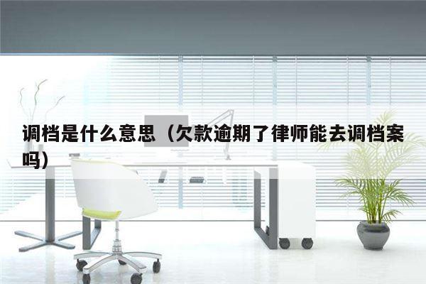 调档是什么意思（欠款逾期了律师能去调档案吗）