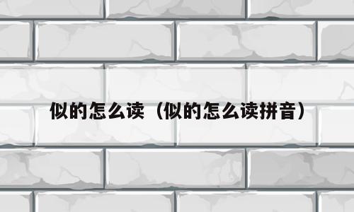 似的怎么读（似的怎么读拼音）