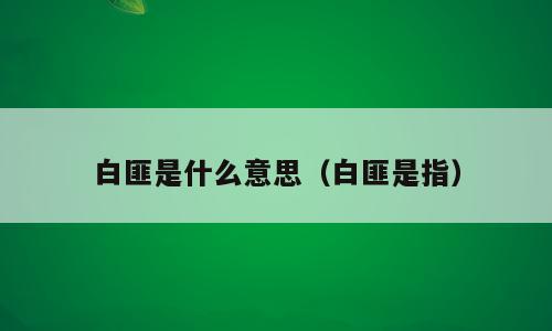 白匪是什么意思（白匪是指）