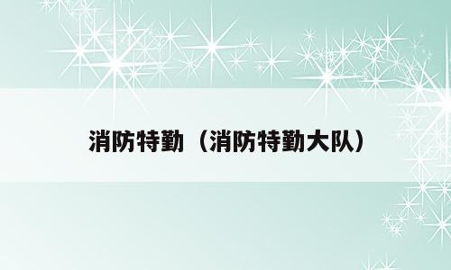 消防特勤（消防特勤大队）