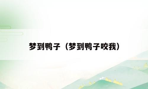 梦到鸭子（梦到鸭子咬我）