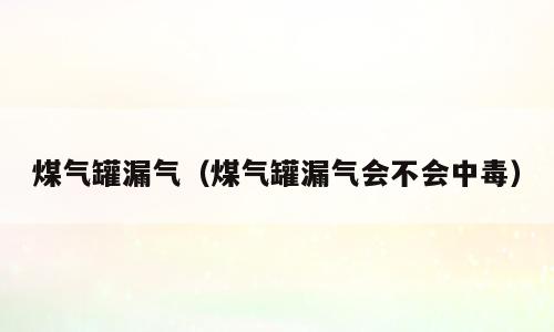 煤气罐漏气（煤气罐漏气会不会中毒）