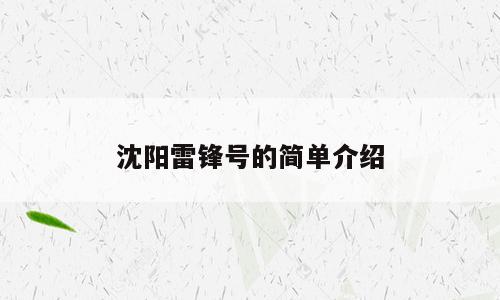 沈阳雷锋号的简单介绍