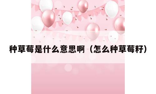 种草莓是什么意思啊（怎么种草莓籽）