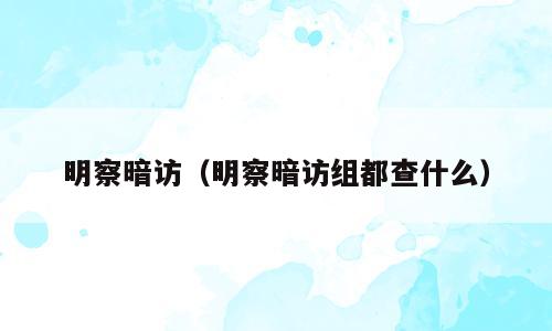 明察暗访（明察暗访组都查什么）