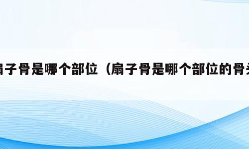 扇子骨是哪个部位（扇子骨是哪个部位的骨头）