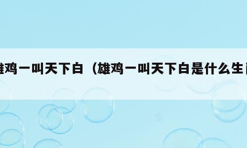 雄鸡一叫天下白（雄鸡一叫天下白是什么生肖）