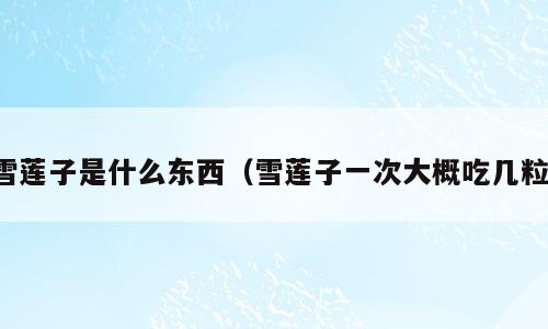 雪莲子是什么东西（雪莲子一次大概吃几粒）