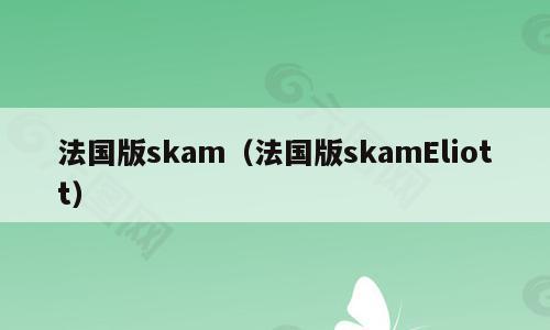 法国版skam（法国版skamEliott）