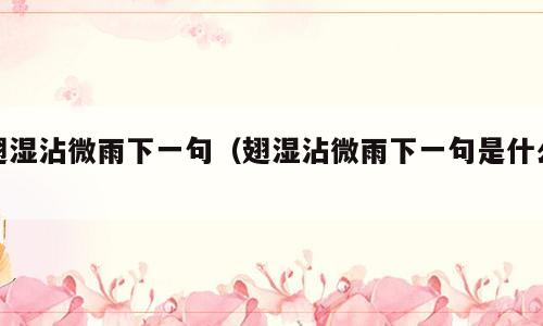 翅湿沾微雨下一句（翅湿沾微雨下一句是什么）