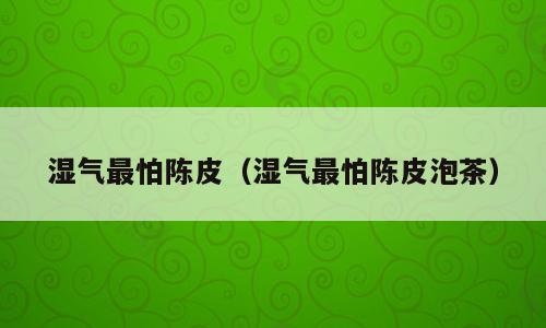 湿气最怕陈皮（湿气最怕陈皮泡茶）