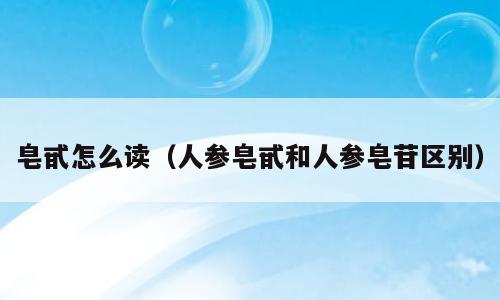 皂甙怎么读（人参皂甙和人参皂苷区别）