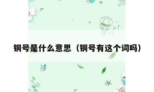 铜号是什么意思（铜号有这个词吗）