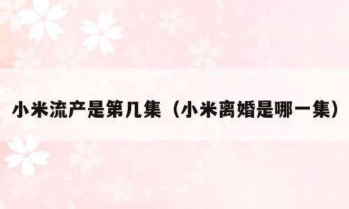 小米流产是第几集（小米离婚是哪一集）