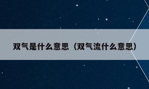 双气是什么意思（双气流什么意思）