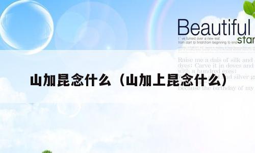 山加昆念什么（山加上昆念什么）