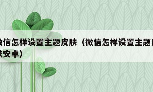 微信怎样设置主题皮肤（微信怎样设置主题皮肤安卓）