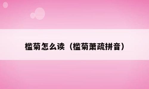 槛菊怎么读（槛菊萧疏拼音）