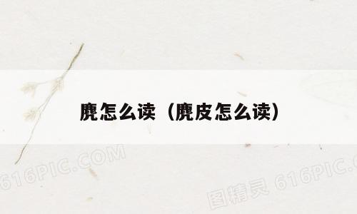 麂怎么读（麂皮怎么读）