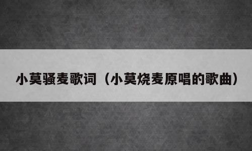 小莫骚麦歌词（小莫烧麦原唱的歌曲）
