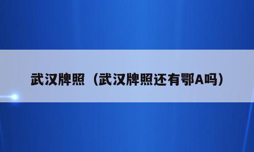 武汉牌照（武汉牌照还有鄂A吗）