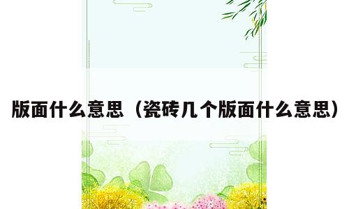 版面什么意思（瓷砖几个版面什么意思）