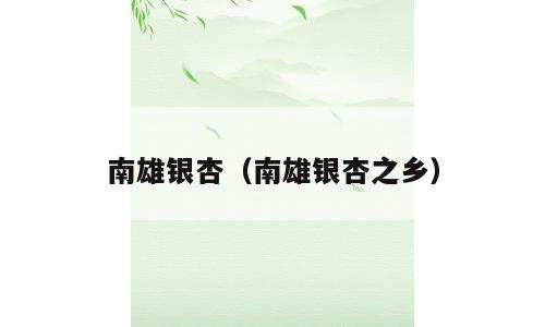 南雄银杏（南雄银杏之乡）
