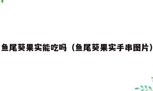 鱼尾葵果实能吃吗（鱼尾葵果实手串图片）