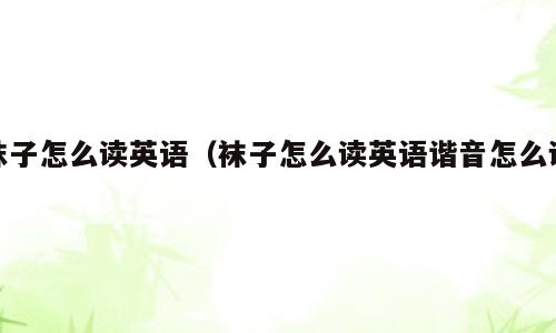 袜子怎么读英语（袜子怎么读英语谐音怎么读）