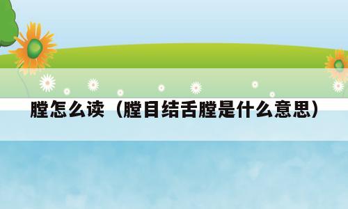 膛怎么读（膛目结舌膛是什么意思）