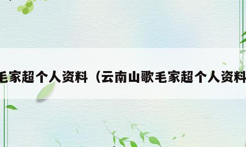 毛家超个人资料（云南山歌毛家超个人资料）