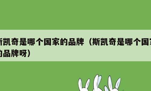斯凯奇是哪个国家的品牌（斯凯奇是哪个国家的品牌呀）