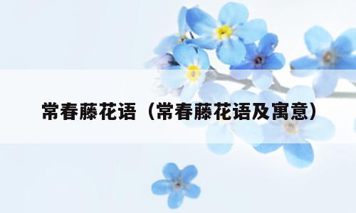 常春藤花语（常春藤花语及寓意）