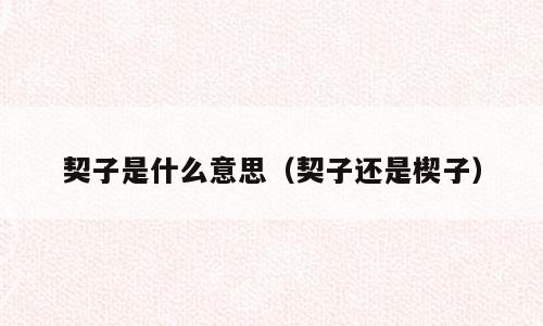 契子是什么意思（契子还是楔子）