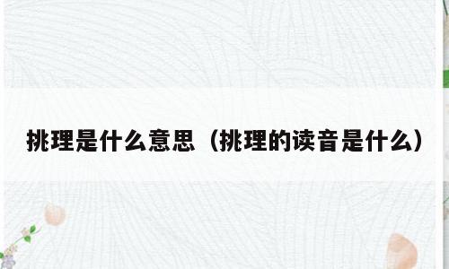 挑理是什么意思（挑理的读音是什么）