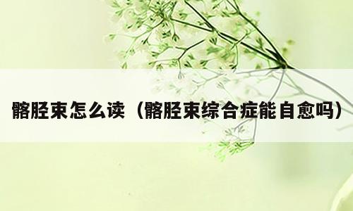 髂胫束怎么读（髂胫束综合症能自愈吗）