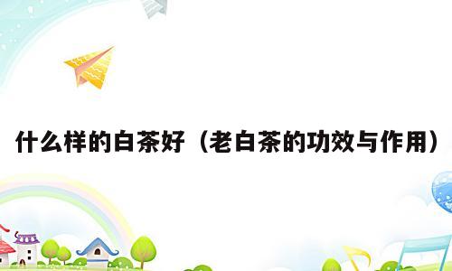 什么样的白茶好（老白茶的功效与作用）