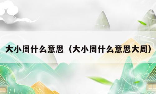 大小周什么意思（大小周什么意思大周）