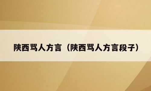 陕西骂人方言（陕西骂人方言段子）